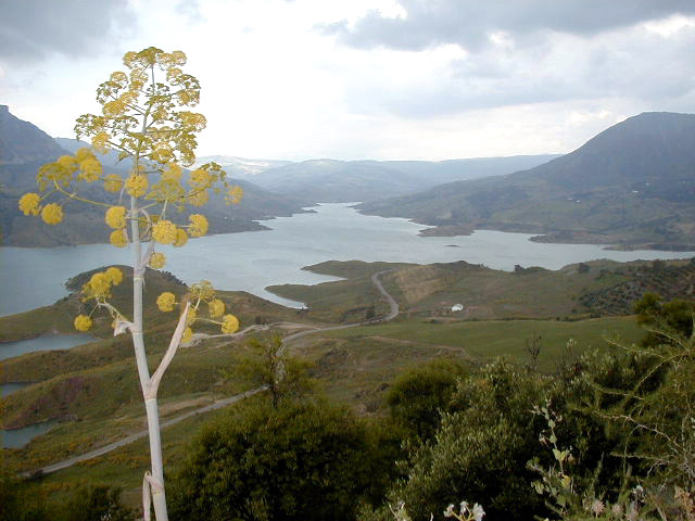 Sierra de Grazalema