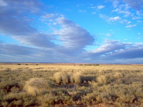 monegros
