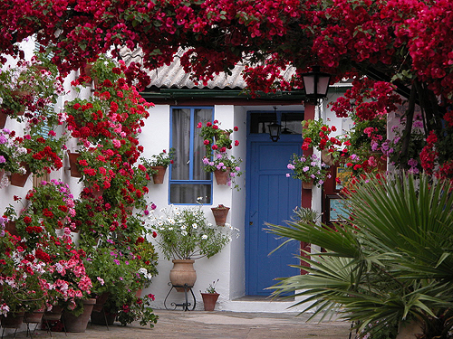 Patios de Cordoba