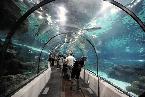 Aquarium de Barcelona