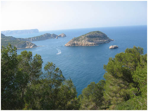 Javea