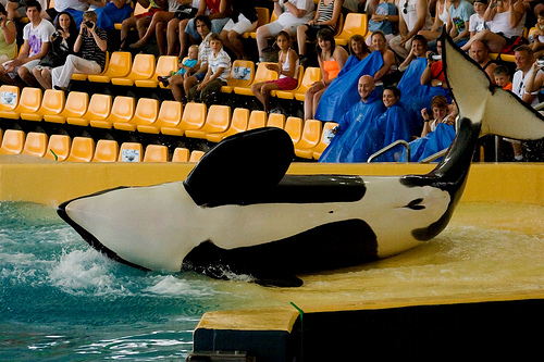 Loro Parque