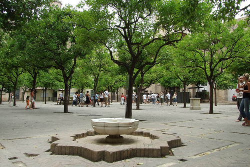 Patio de los Naranjos