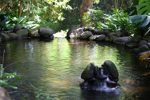 Jardines de la Concepcion