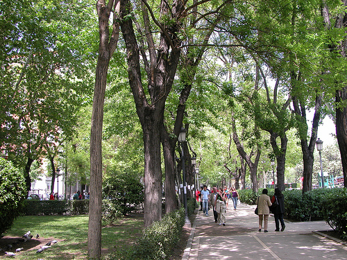 Paseo del Prado