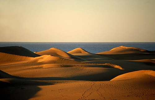 Dunas de Maspalomas