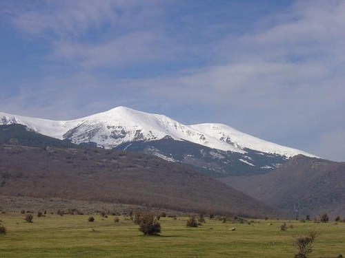 Moncayo