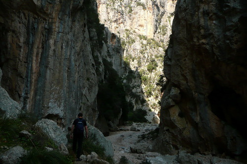 Torrent de Pareis