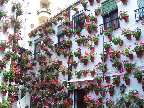 Patios de Cordoba