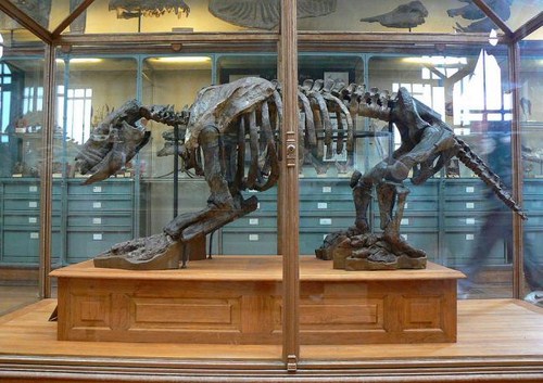 Museo Aragones de Paleontologia